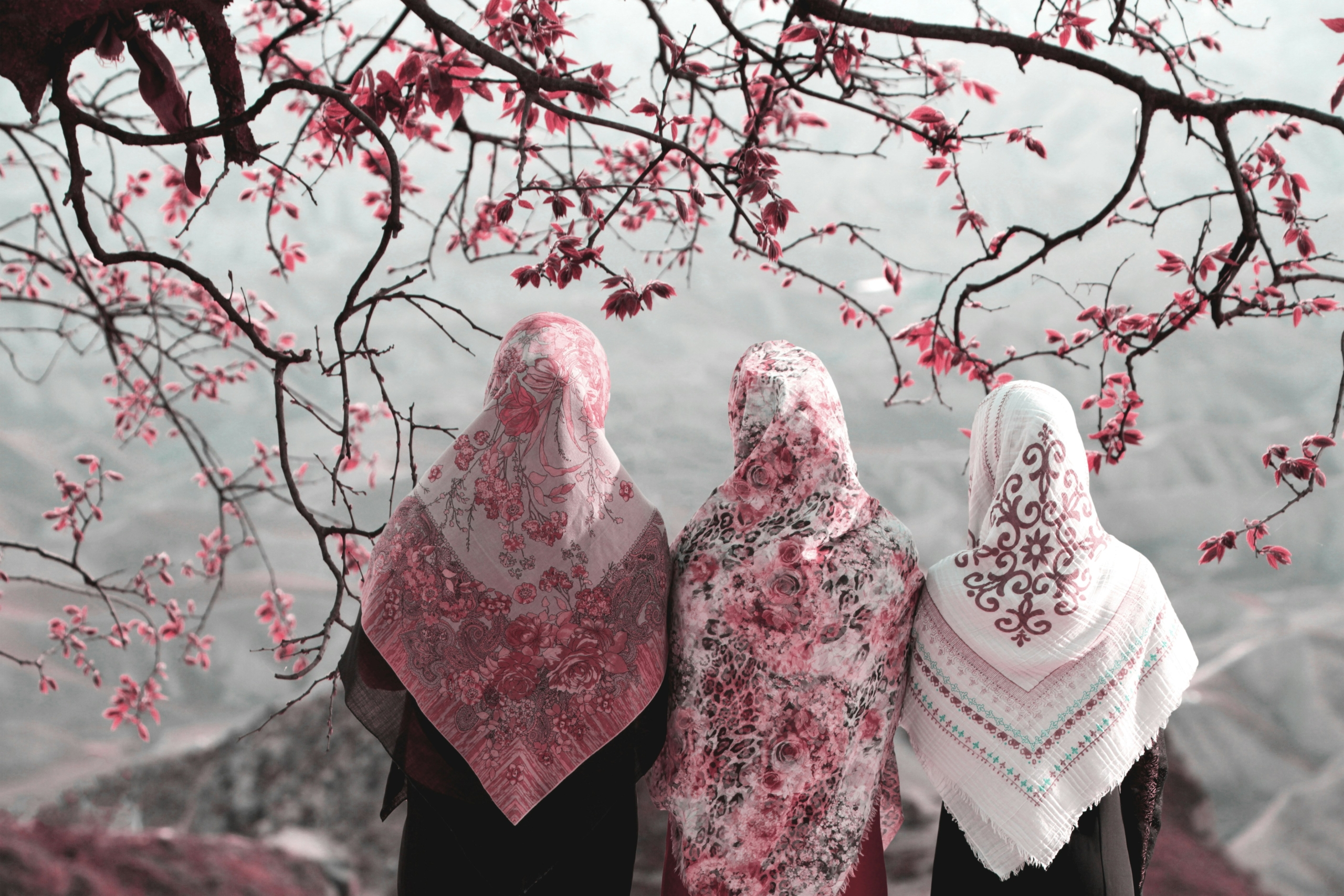 Period Poverty in the Middle East