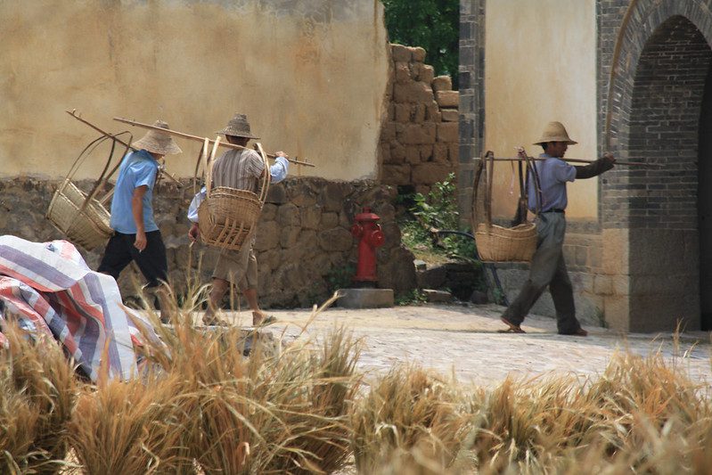 Green Wall of China Combats Poverty