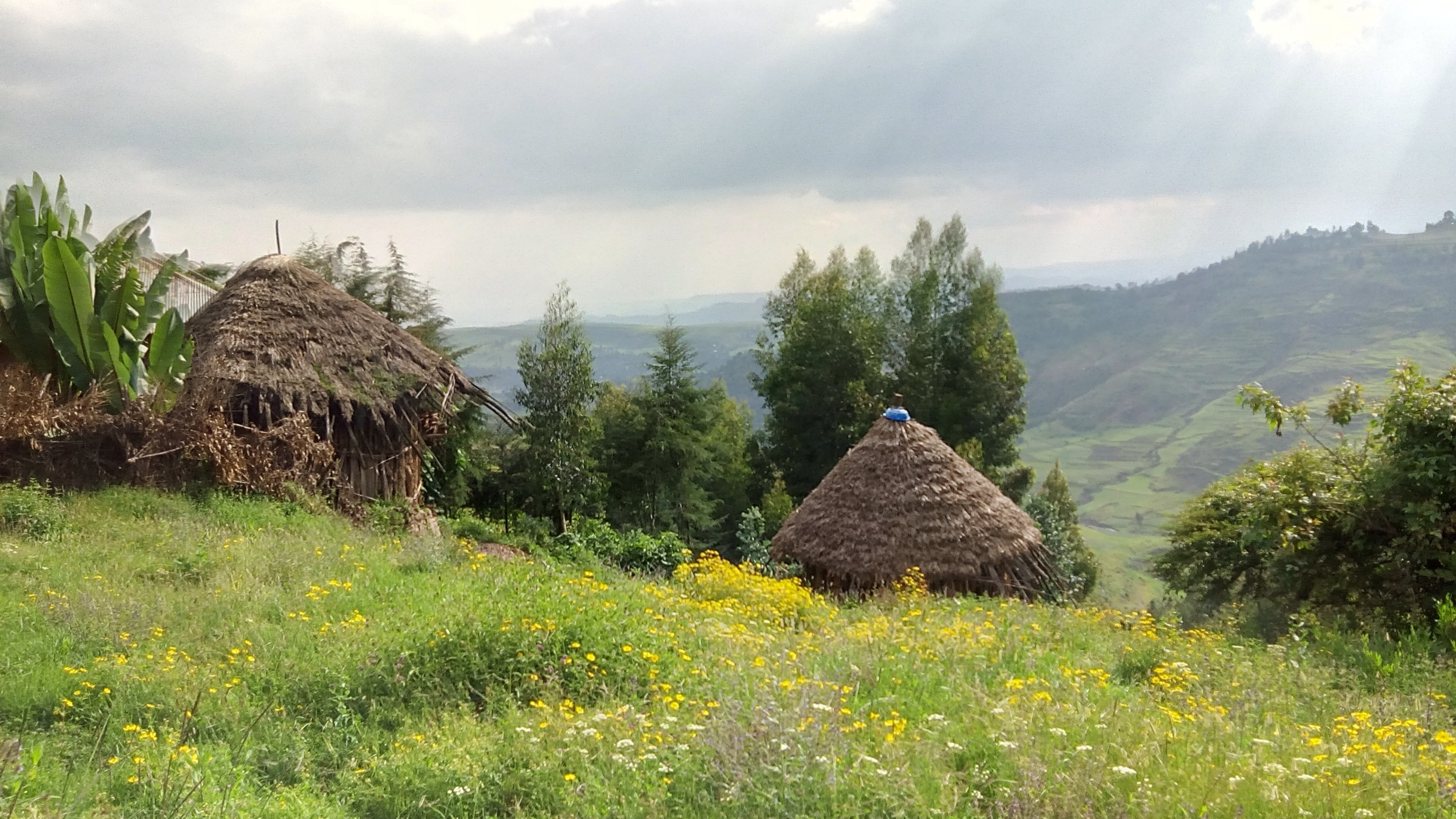 Plastic Houses in Ethiopia