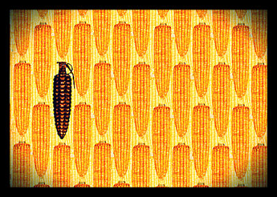 Poison Corn_opt