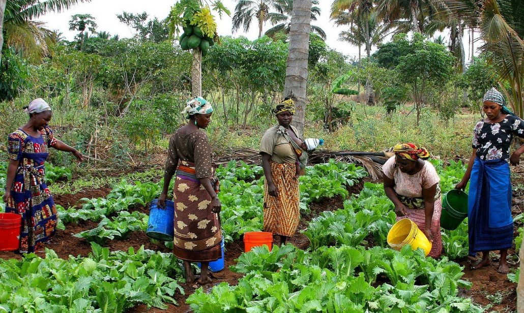 Poverty Eradication in Tanzania