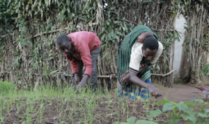 Poverty in Rwanda