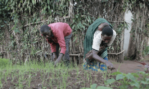 Poverty in Rwanda Poverty in Rwanda