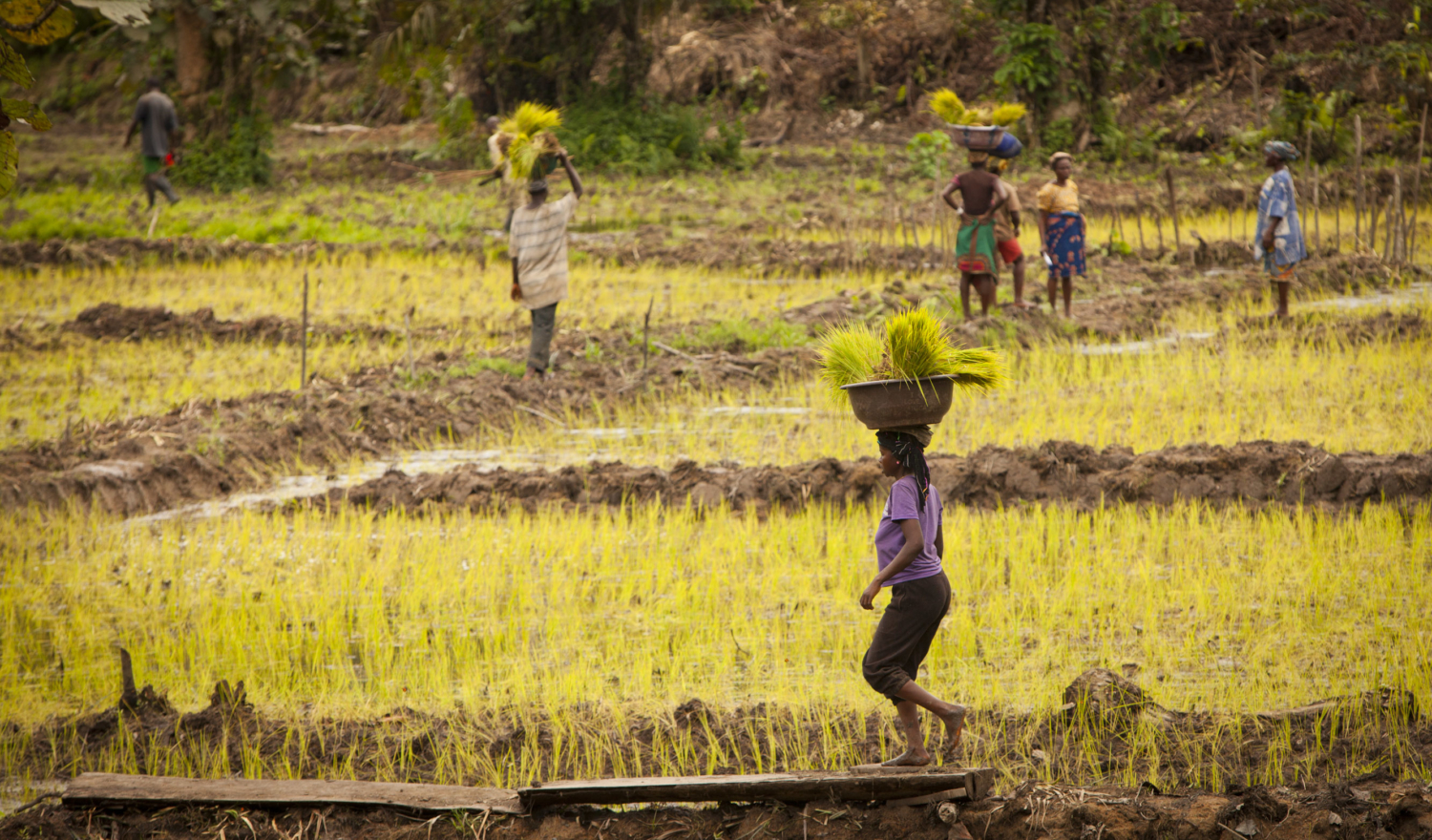 Poverty and Fragility