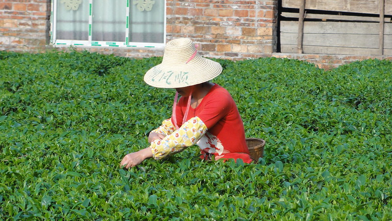 poverty in China
