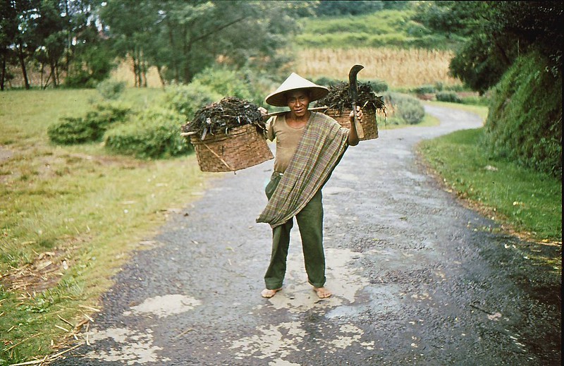 vanilla in Indonesia