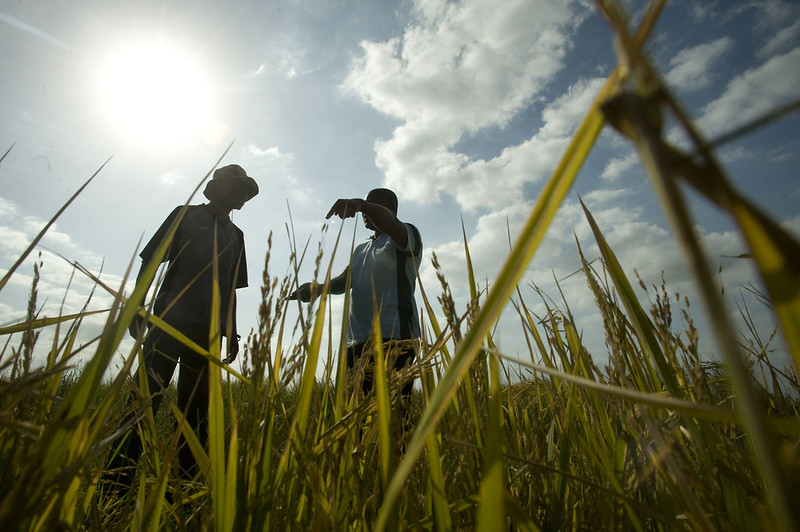 Poverty in Mozambique