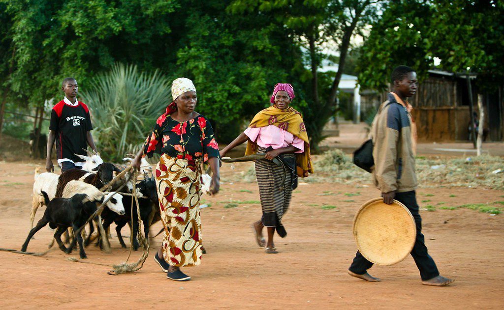 Poverty in Mozambique
