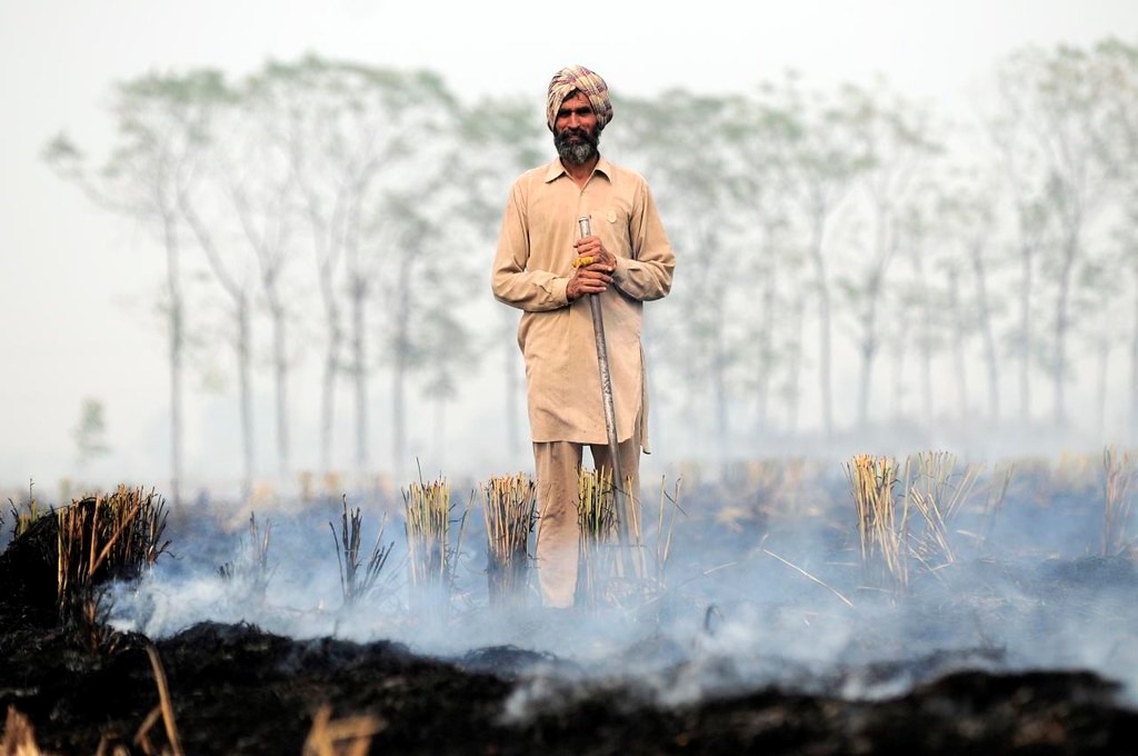 Poverty in Punjab