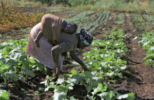 Poverty in Zimbabwe