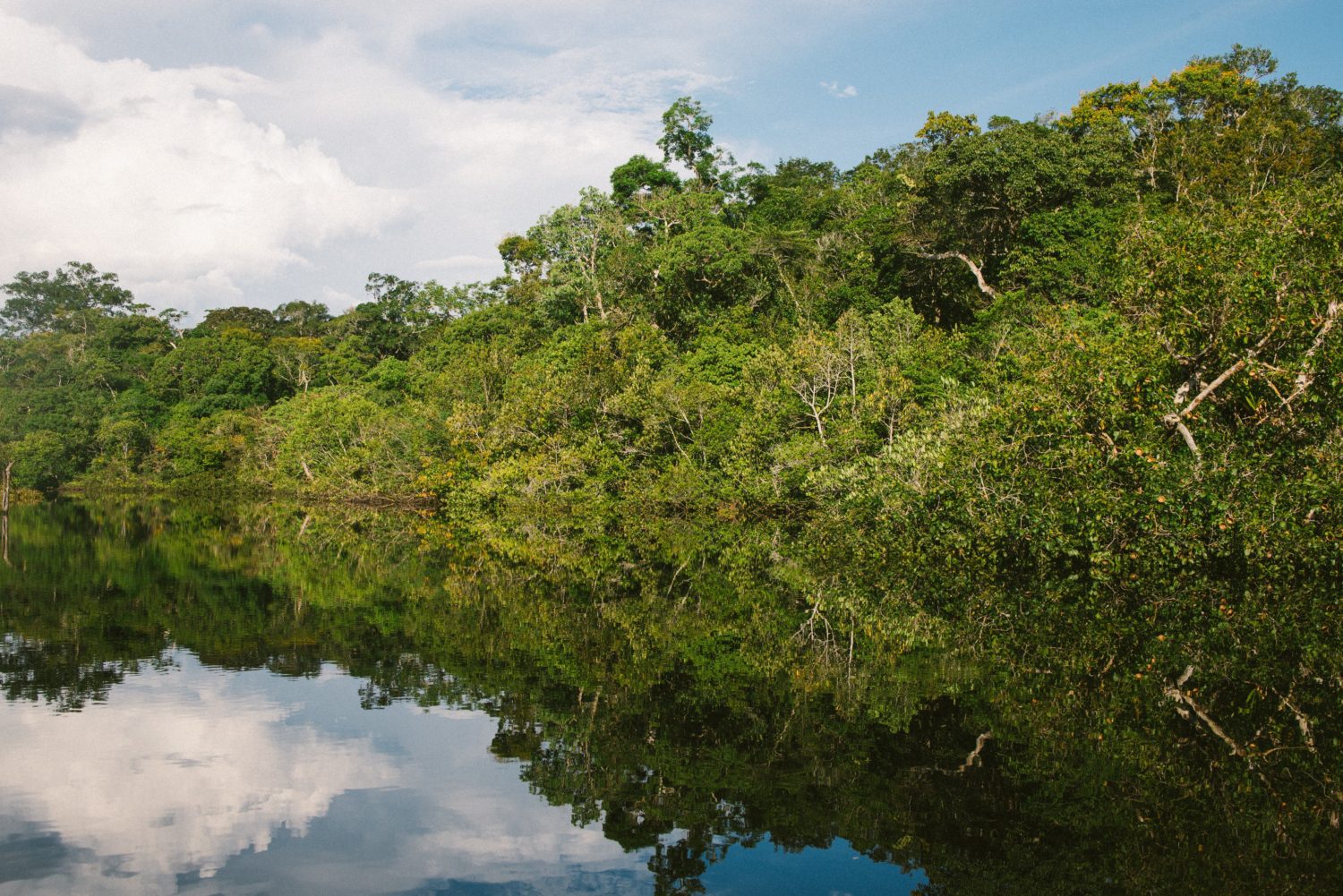 Poverty in the Amazon Rainforest
