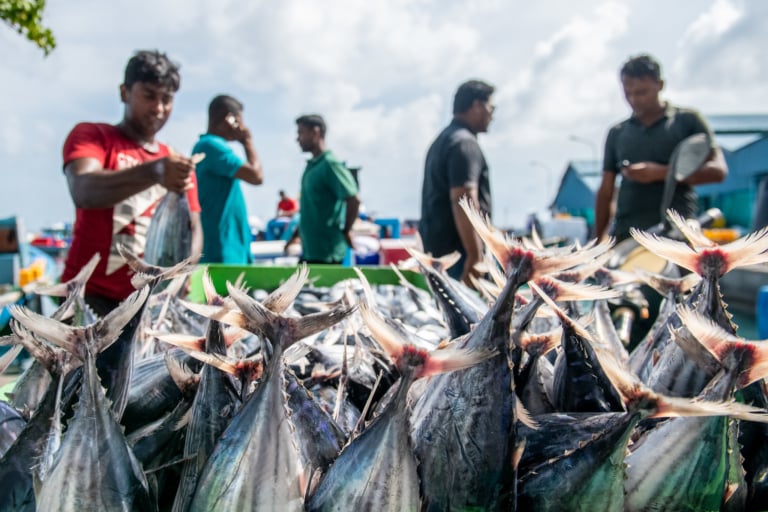 Everything To Know About Poverty in the Maldives - The Borgen Project