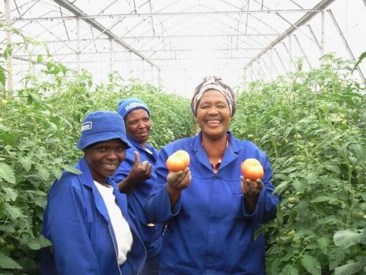 Cooperatives