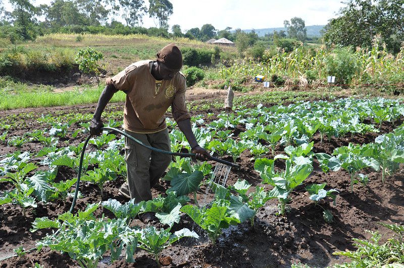 Practical Action Addresses Youth Unemployment in Kenya