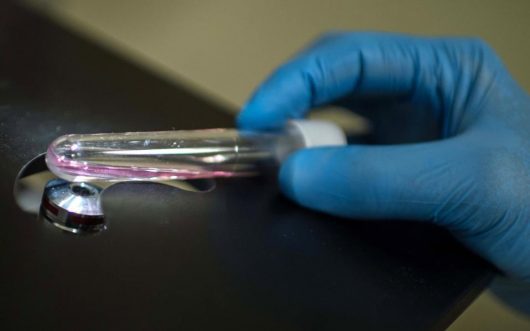 Prevent the Zika Virus