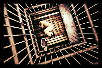 Prison and Poverty