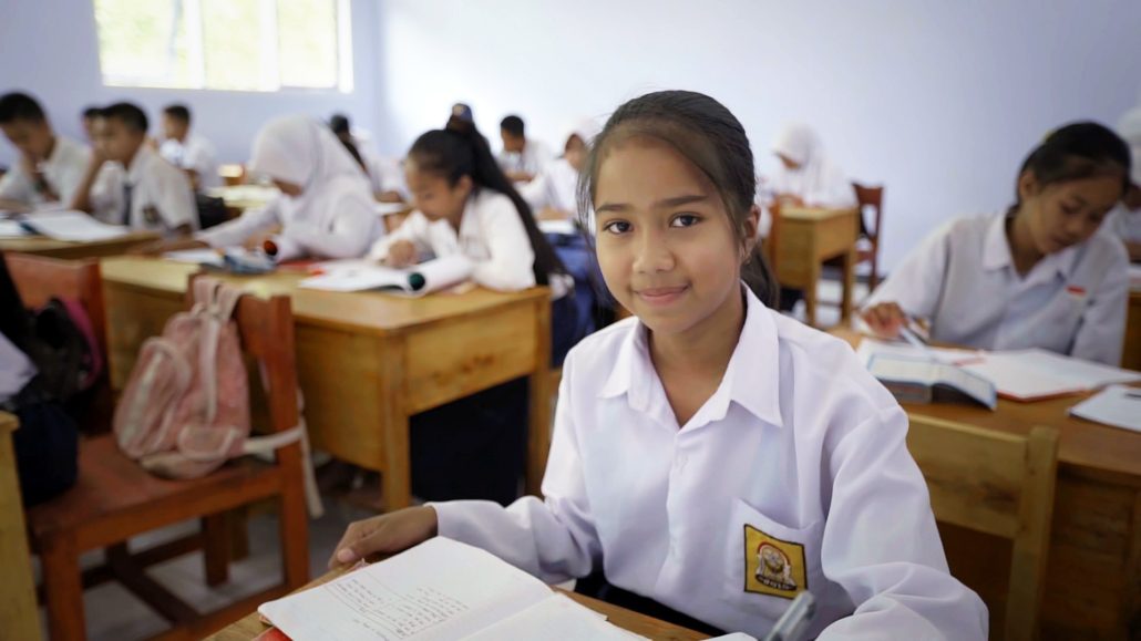 Private Education in Developing Nations