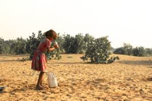 Food Security in the Desert