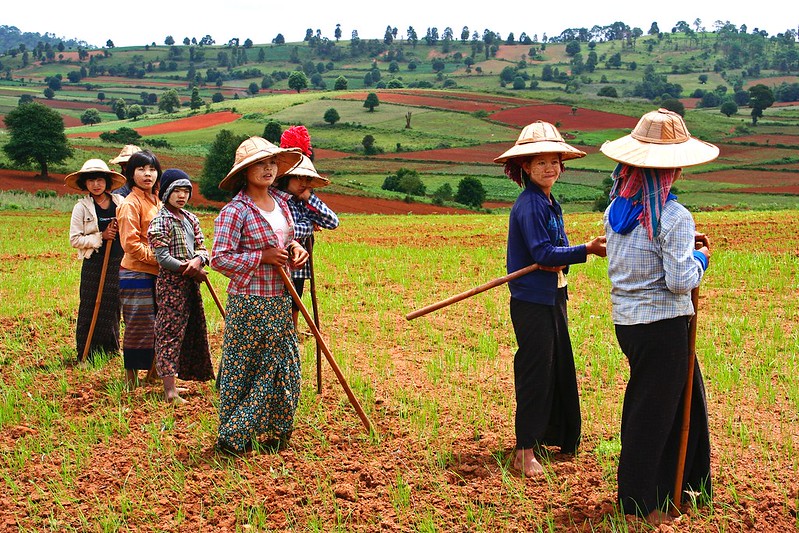 Proximity Designs in Myanmar