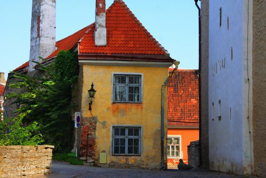 Public Health Challenge: Combating the Top Diseases in Estonia