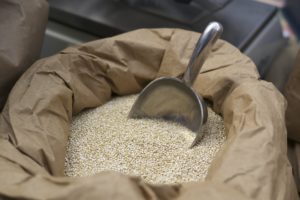 Quinoa in Bolivia