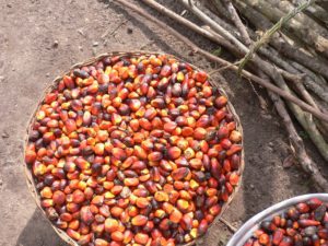 RSPO