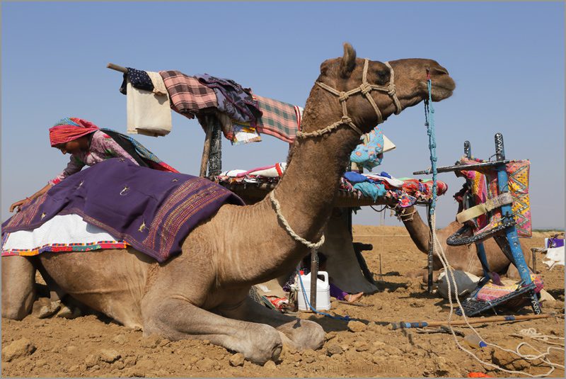 Rural-urban migration