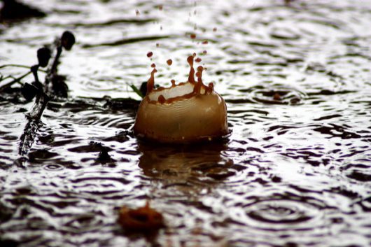 Rainwater Harvesting Systems