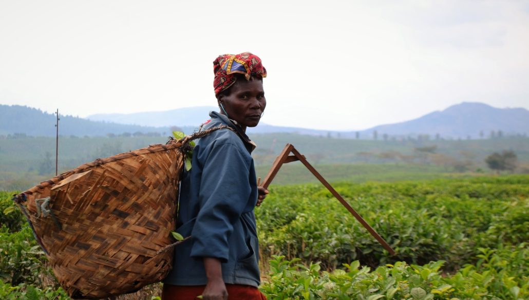 Reducing Poverty in Mozambique