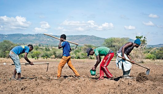 Reducing Poverty One Acre at a Time