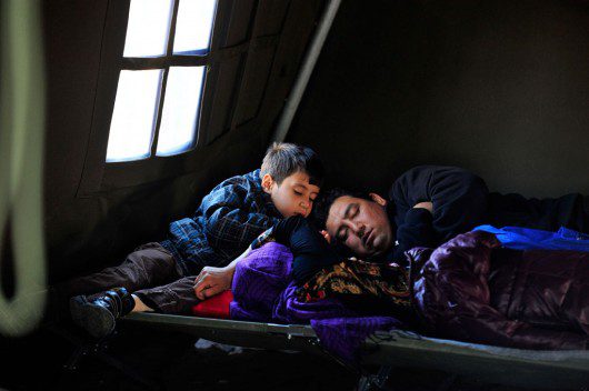 Refugee Resettlement