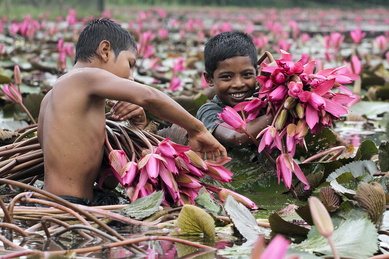 Remittance to Bangladesh