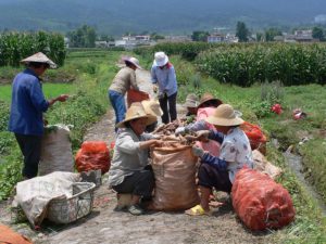 Remote Chinese Village