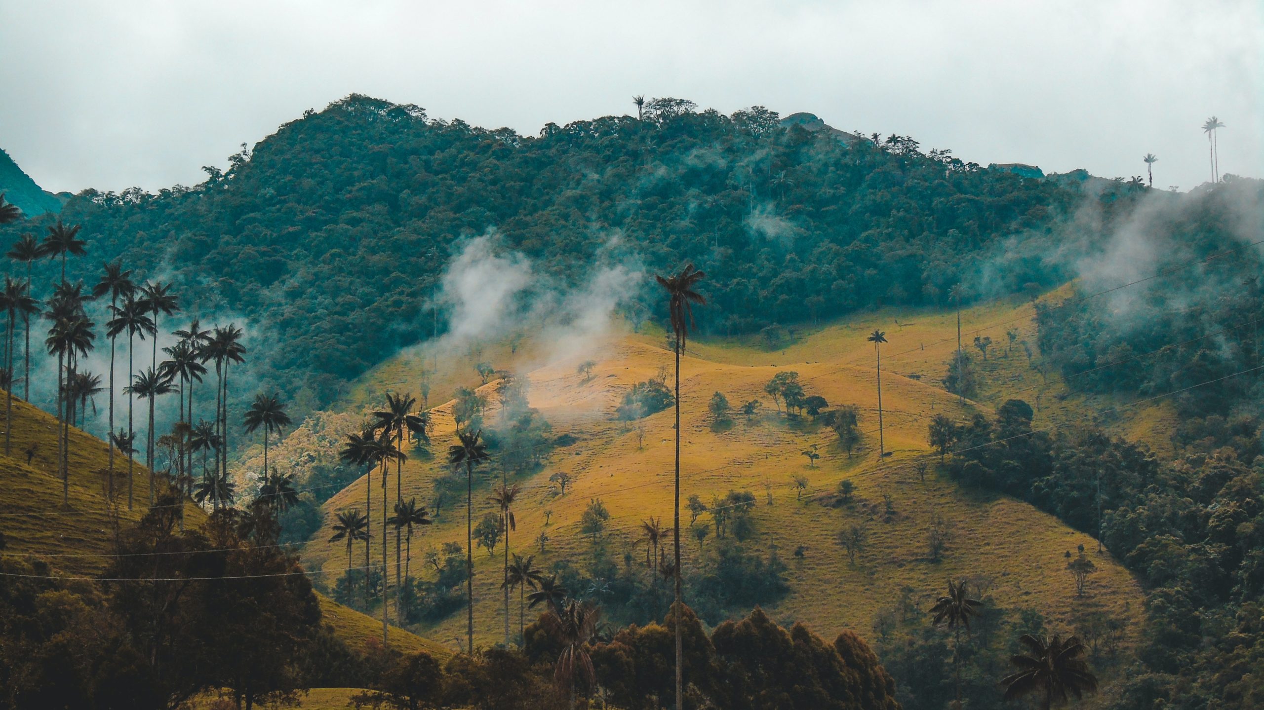 Renewable Energy in Colombia