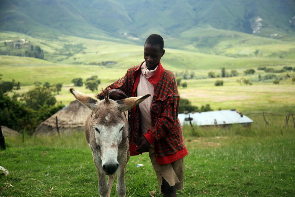 Renewable Energy in Lesotho