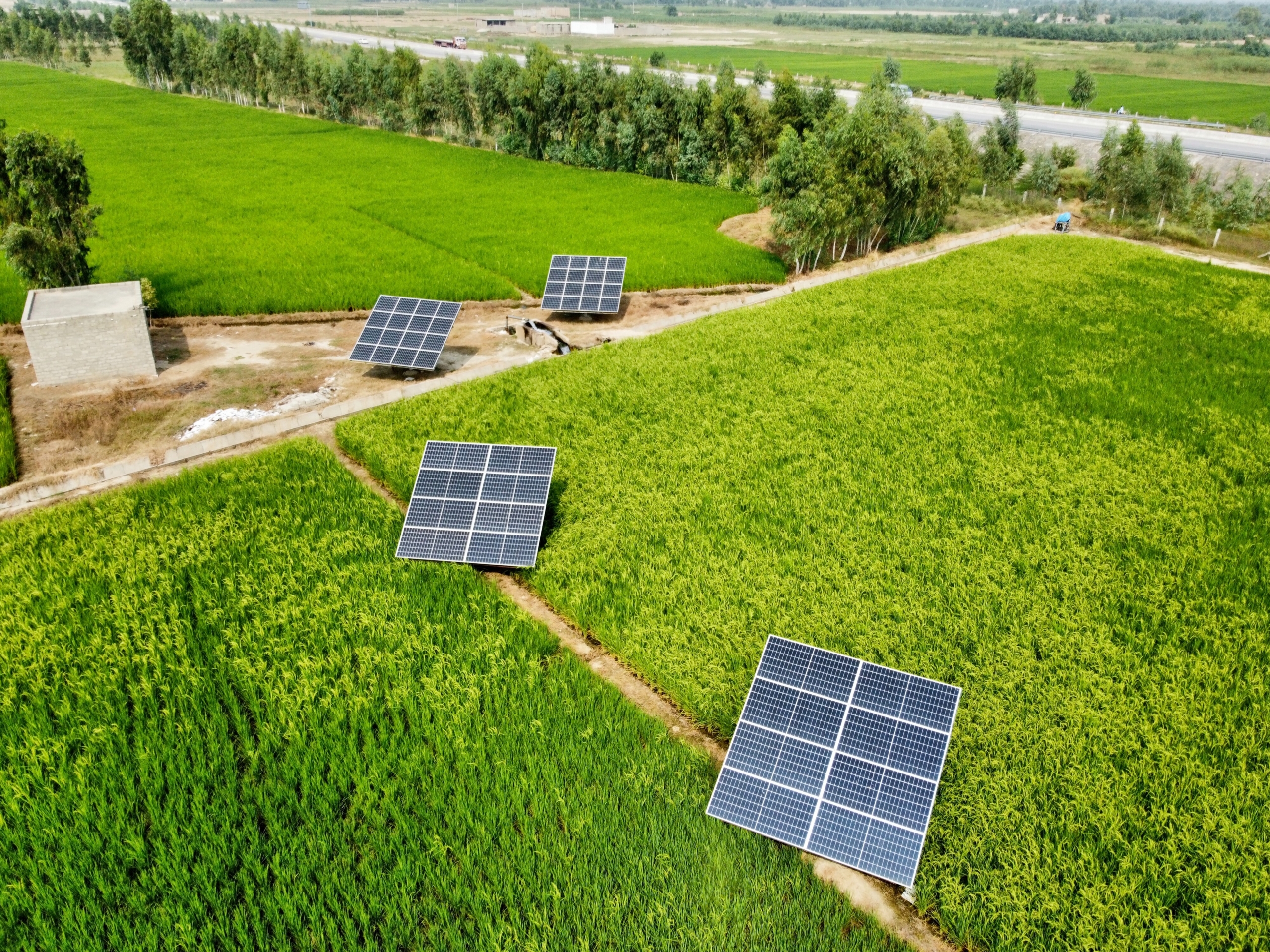 Renewable Energy in Pakistan