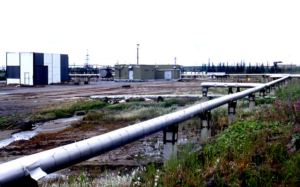 Russia’s Resilient Petrostate