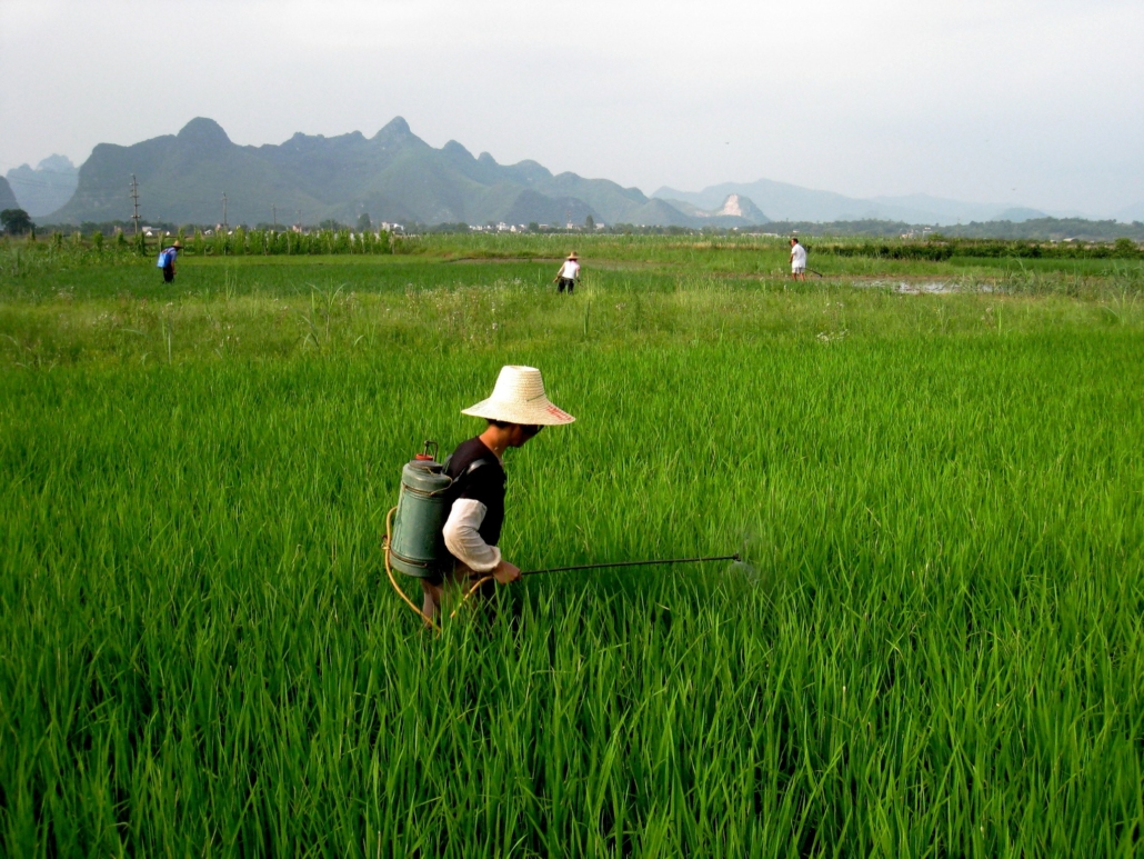 SDG 10 in China