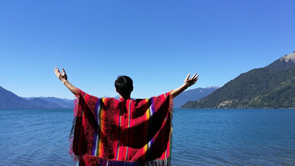 SDG 15 in Chile