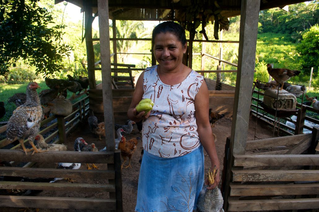 SDG 17 in Brazil