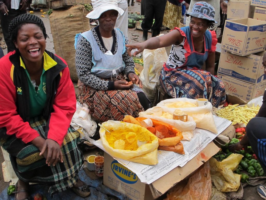 SDG 9 in Zimbabwe