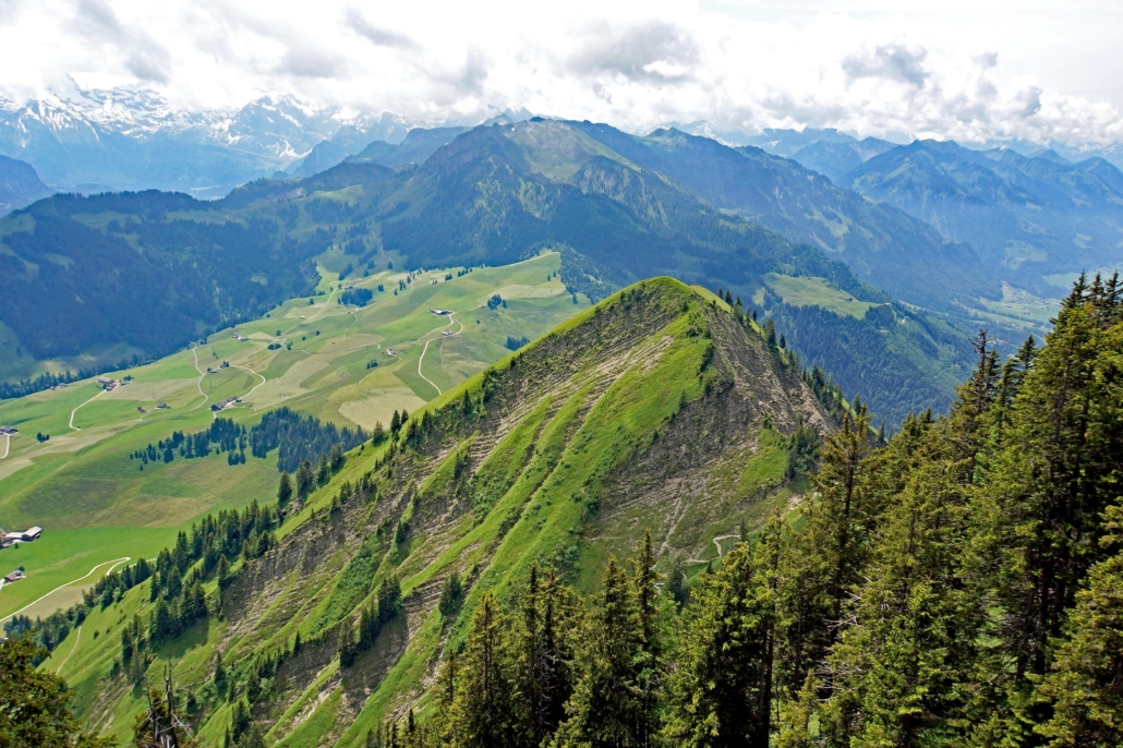 SDG Goal 1 in Switzerland