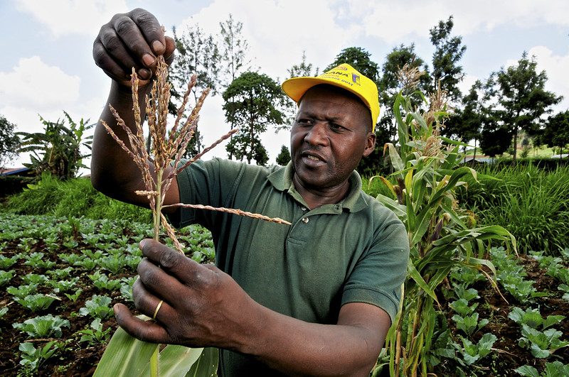 Safi Organics Brings Sustainable Agriculture to Rural Kenya