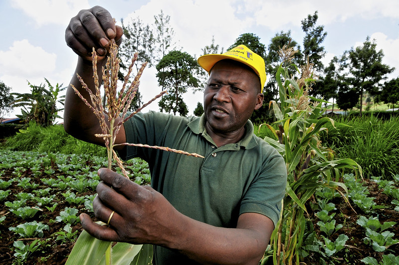 Safi Organics Brings Sustainable Agriculture to Rural Kenya