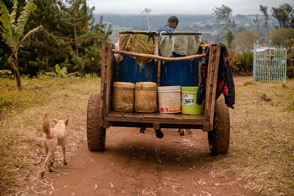 Sanitation Practices in Tanzania