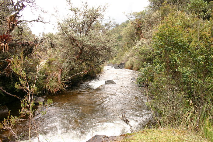 sanitation in Ecuador