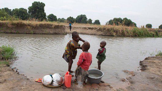 The Debilitating Effects of Schistosomiasis-TBP