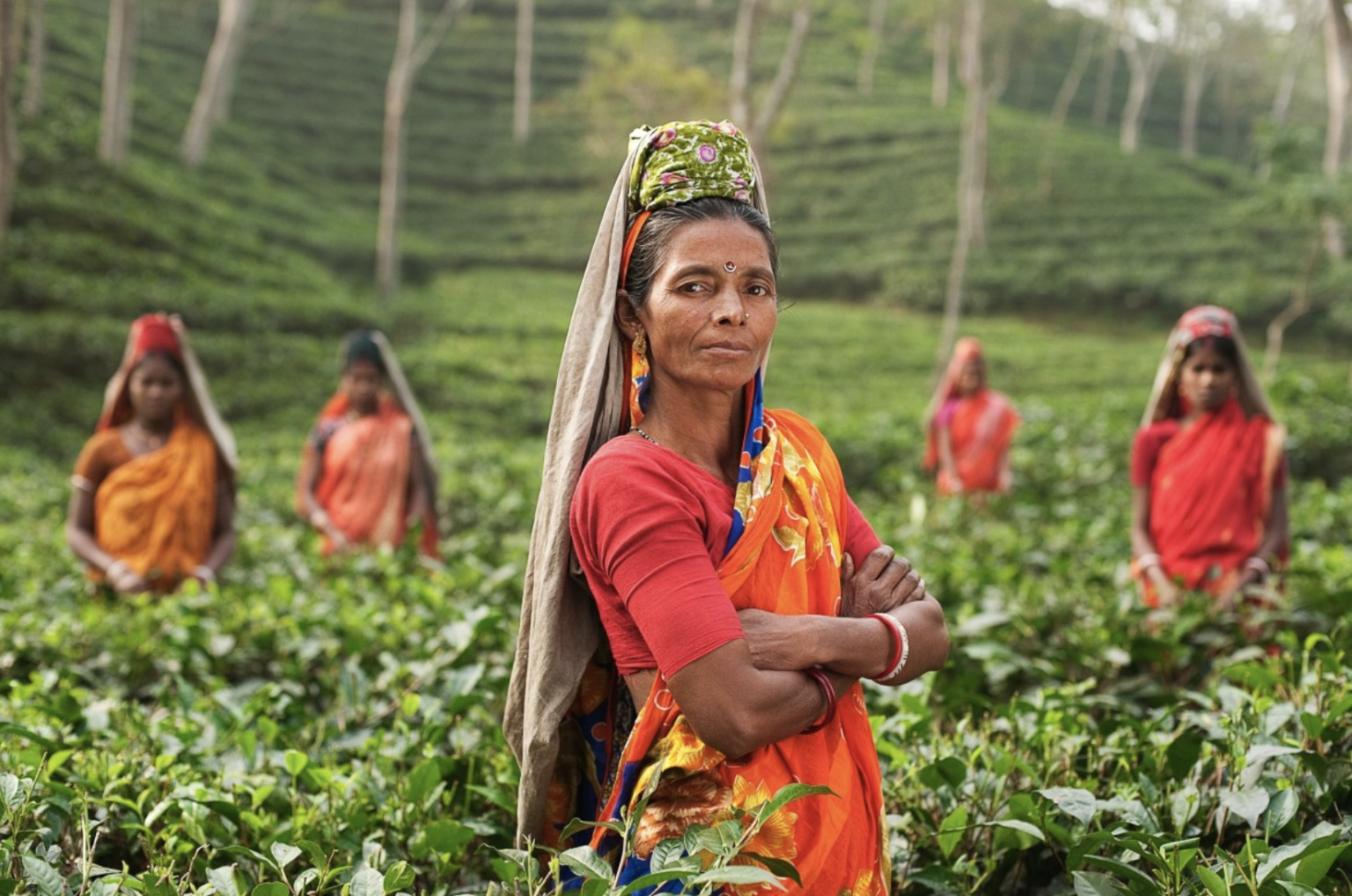 Microcredit: One of The Best Ways of Empowering Women - The Borgen Project