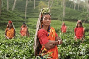 microcredit