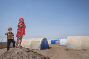 Seeds of Hunger in Iraq